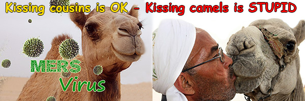 kissing camels